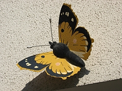 2003-08 Saint Pryvé